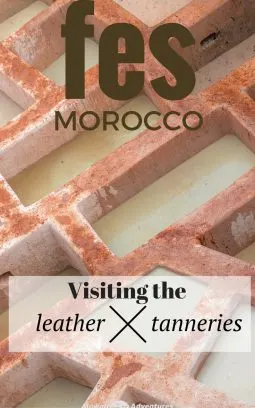 Visiting the leather tanneries of Fes in Morocco is quite the experience. Unchanged for centuries, it's one of the unforgettable things to do in Fes.