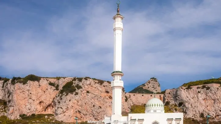 Organised tours of the Rock of Gibraltar can be expensive so we set about finding the cheapest way to see the sights of Gibraltar. It's cheap and easy.