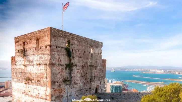 Organised tours of the Rock of Gibraltar can be expensive so we set about finding the cheapest way to see the sights of Gibraltar. It's cheap and easy.