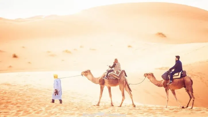 The desert is our favourite region of Morocco and to help you along the way, here are our some of our favourite things to do in the Sahara Desert, Morocco. #Morocco #SaharaDesert Read the full article here: //mowgli-adventures.com/our-favourite-things-to-do-in-the-sahara-desert/