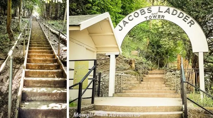 Jacobs Ladder in Cheddar Gorge