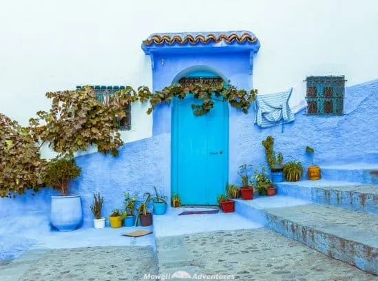 Exploring the magic of Chefchaouen, Morocco's blue city. The residents of Chefchaouen have painted everything blue and white. The buildings, the pavements, the steps and the doors are all painted in a multitude of shades of blue. #Travel #Morocco #Chefchaouen #TravelGuide Click this link for the full article //mowgli-adventures.com/chefchaouen-morocco-blue-city/