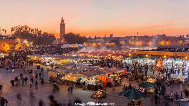 There's so many things to do in Marrakech to overwhelm your senses. This brief guide to Morocco's red city has your back for your first visit. Plan your itinerary using our guide to Marrakech full of tips and useful information and fall in love with Morocco's red city, Marrakech. #Marrakech