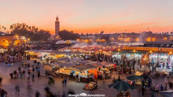 to Do in Marrakech | A Short Guide Morocco's City