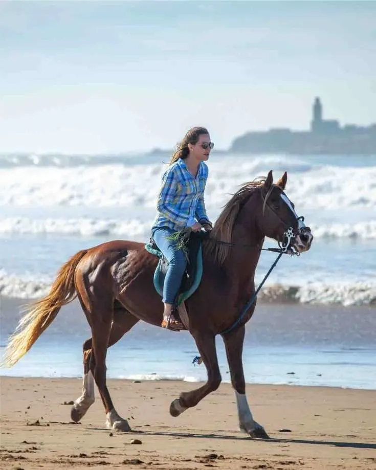 horseback riding is one of the best beach activities to do in essaouira