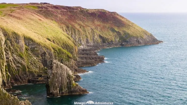 The entire county of Cork in Ireland is incredible so we've whittled the WAW route down to bring you the best scenic drives in Cork. Enjoy! #WAW #WildAtlanticWay #WestCork #RoadTrip Read the full article here: //mowgli-adventures.com/best-scenic-drives-in-cork-ireland/