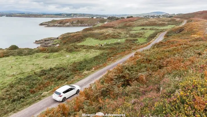 The entire county of Cork in Ireland is incredible so we've whittled the WAW route down to bring you the best scenic drives in Cork. Enjoy! #WAW #WildAtlanticWay #WestCork #RoadTrip Read the full article here: //mowgli-adventures.com/best-scenic-drives-in-cork-ireland/