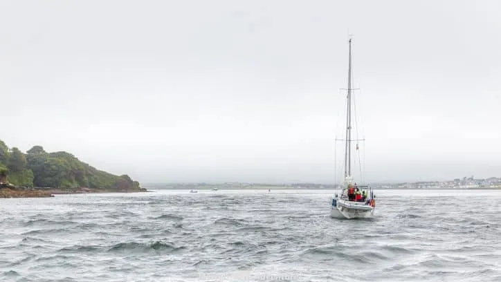 In search of Fungie the Dingle dolphin on the Dingle Peninsula. He is after all one of Ireland's most famous celebrities. Don't miss this top trip in Kerry.