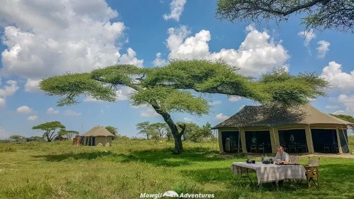 Going on safari in the Serengeti National Park was a huge experience. We had such an amazing time and saw so many things along the way. If you need any convincing, or looking for inspiration, here are a few incredible experiences to have on safari in the Serengeti, Tanzania. #SerengetiSafari #Tanzania Read the full article here: //mowgli-adventures.com/experiences-on-safari-in-the-serengeti