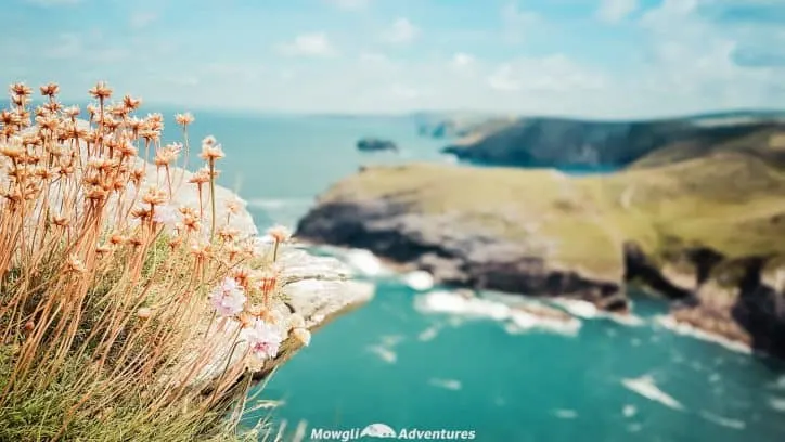 Cornwall is the camper van mecca of the UK & perfect for a road trip. We spent 7 days touring Cornwall by camper van and, in this post, we'll share some valuable lessons, practical tips and essential things to know so you can prepare for your perfect road trip in Cornwall. #Campervan #VanLife #RoadTrip #LoveCornwall Read the full article here: http:mowgli-adventures.com/cornwall-by-camper-van-guide/