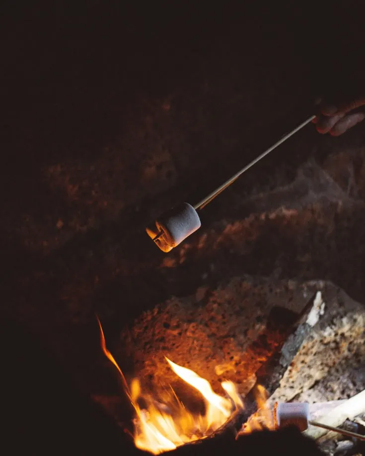 cooking marshmallows over a campfire