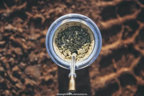 Yerba mate a south american obsession