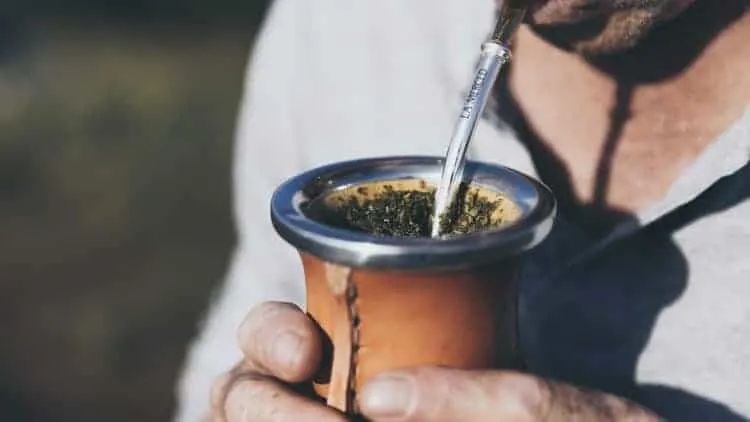 Yerba mate a south american obsession