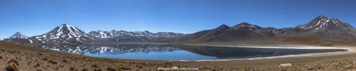 things to do in San Pedro de Atacama - Laguna Miscanti