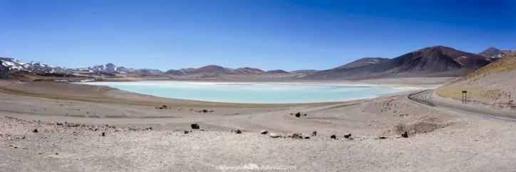 things to do in San Pedro de Atacama -Laguna Tuyaito