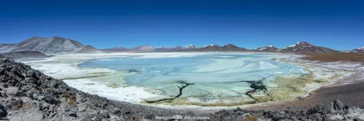 things to do in San Pedro de Atacama salar de aguas calientes