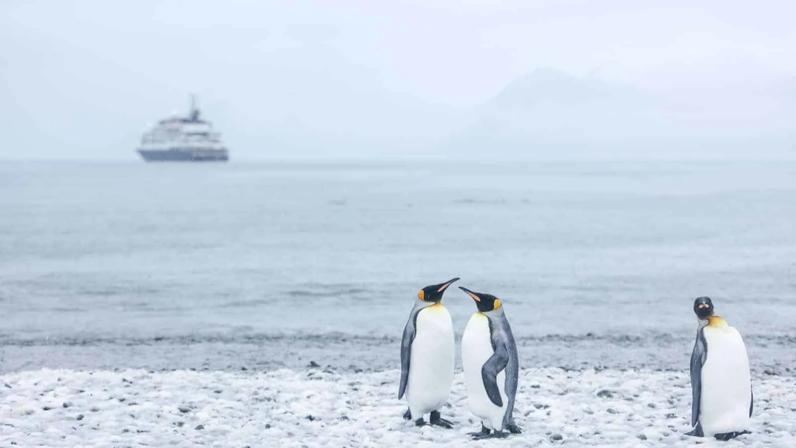 Antarctica travel on a budget - tabular iceberg