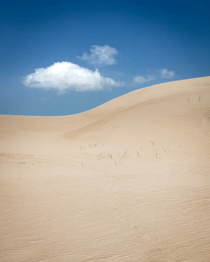 A wave of a sand dune between Barra de Valizas and Cabo Polonio in Uruguay with a fluffy white cloud in a blue sky above it.