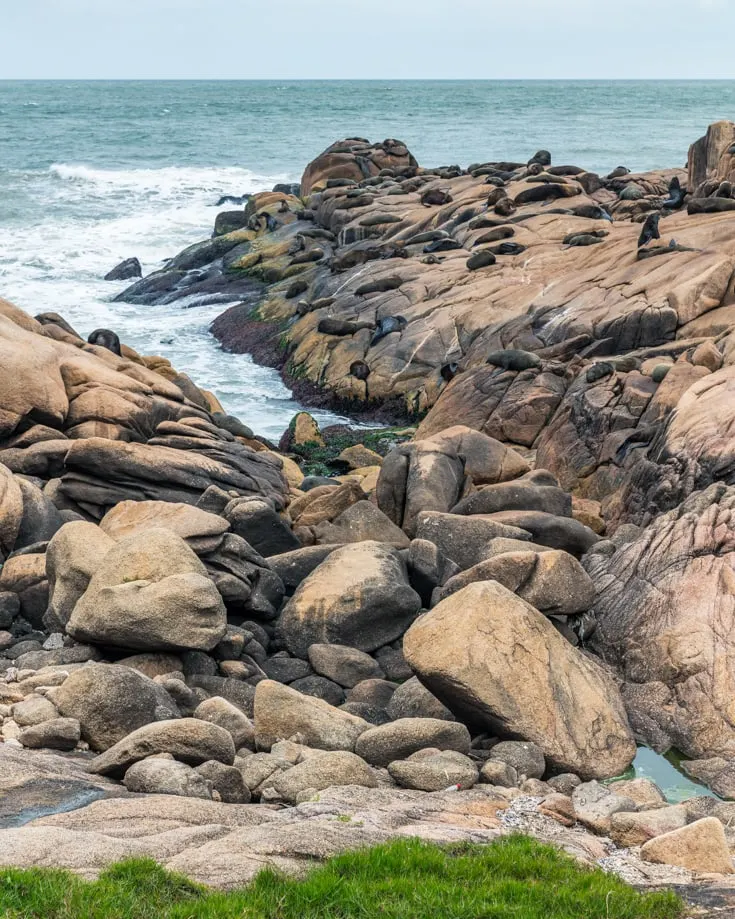 Looking out to sea over the rocks with lots of sea lions lying on them. The 2nd largest sea lion colony in Uruguay is here at Cabo Polonio.