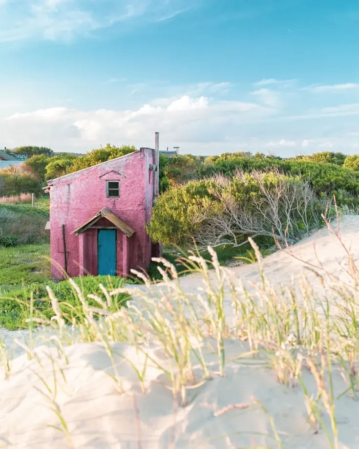 A tiny red house house in the sand dunes in Spring time in Uruguay
