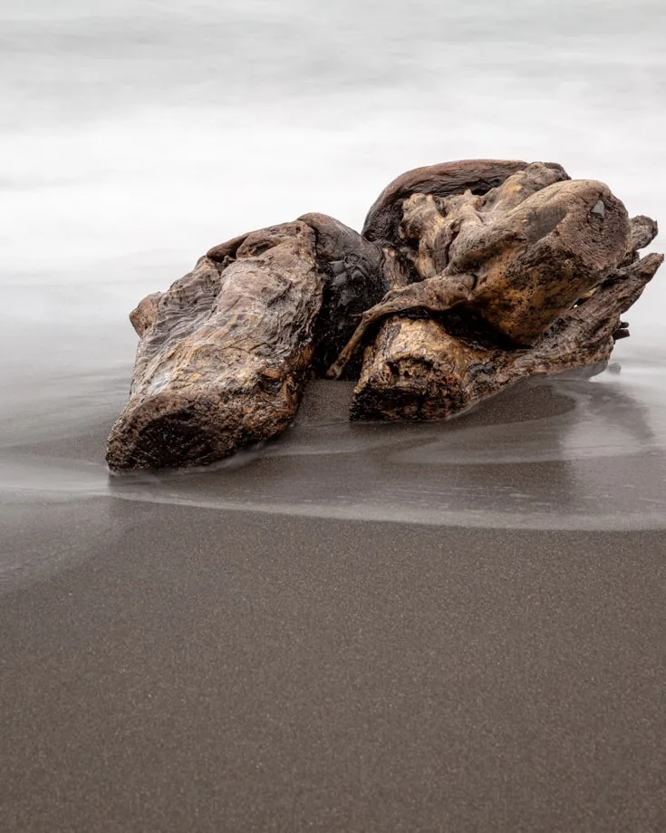 Driftwood on the black sand beach near Pumalin Park