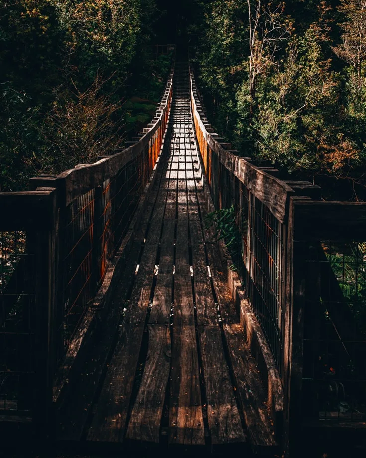 a wooden suspension bridge in a forest