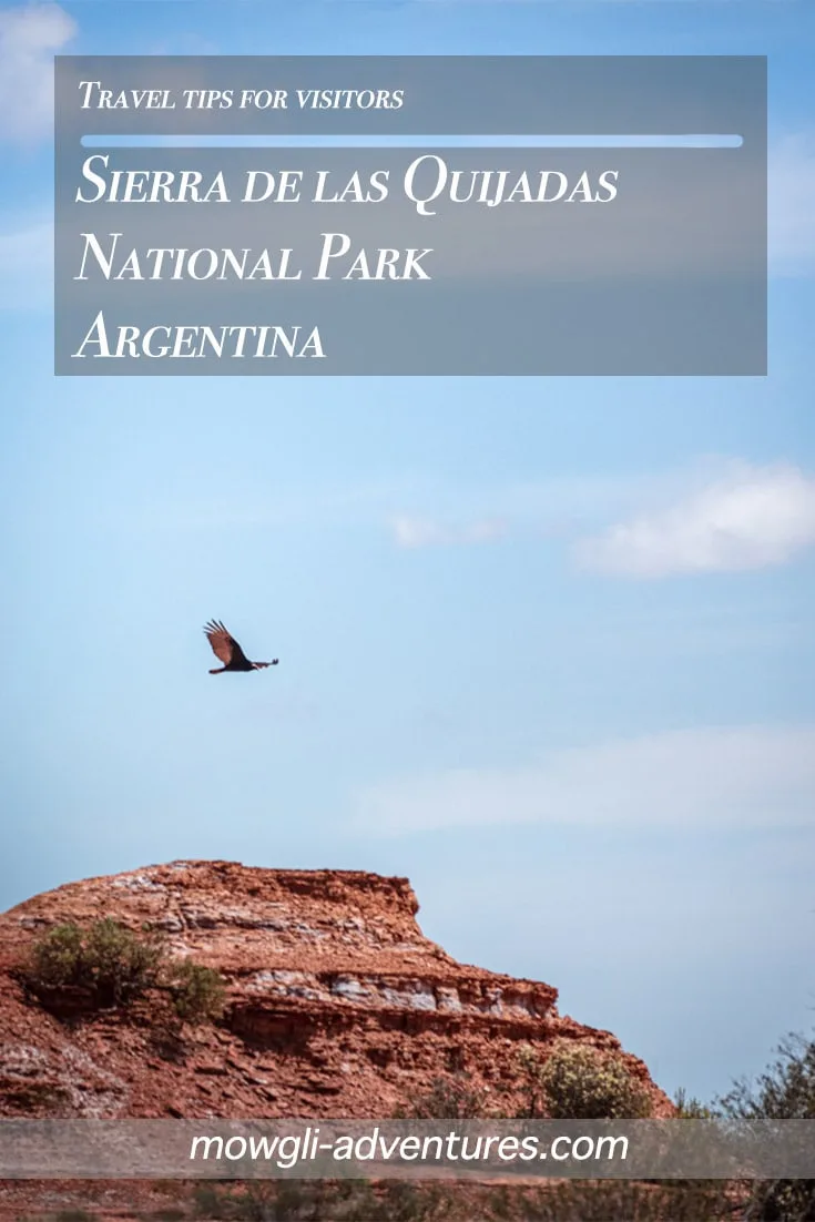 Sierra de las Quijadas National Park Argentina pin image