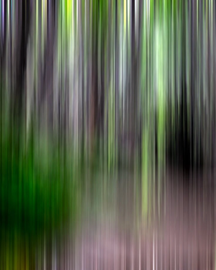 Abstract image of trees in Argentina