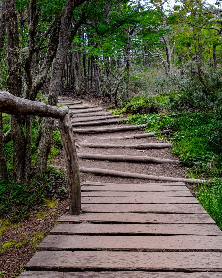 Wooden paths on Tierra del Fuego National Park hiking trails