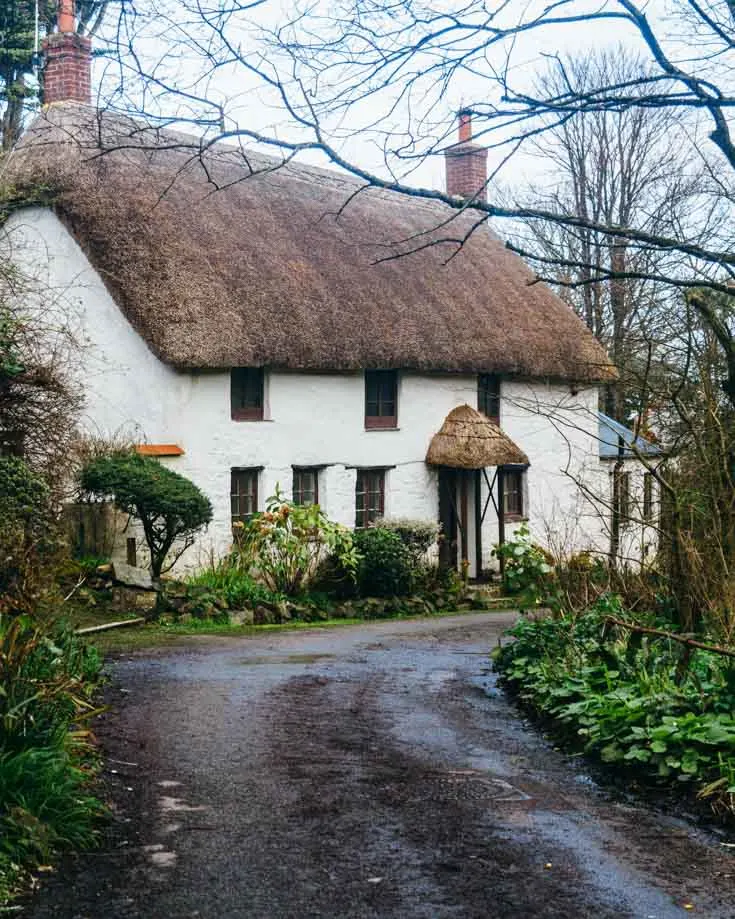 Thatched cottage along a wet track