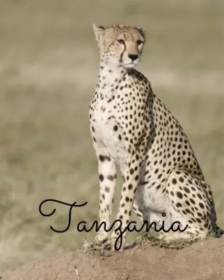 Tanzania travel