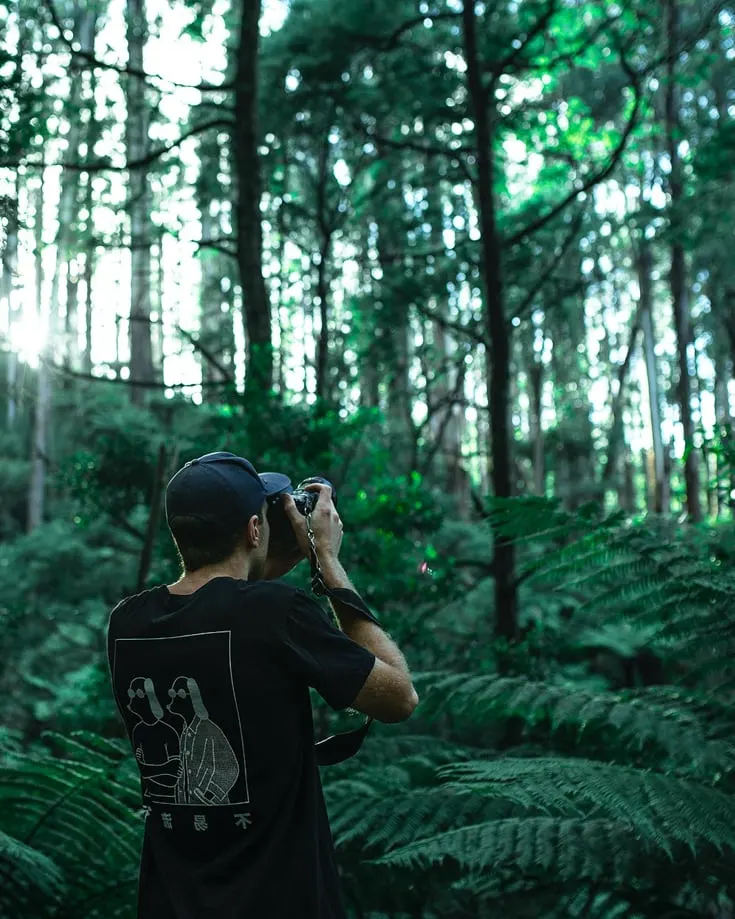 Photographer in a forest