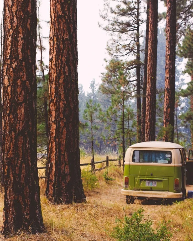 campervan living off grid in a forest