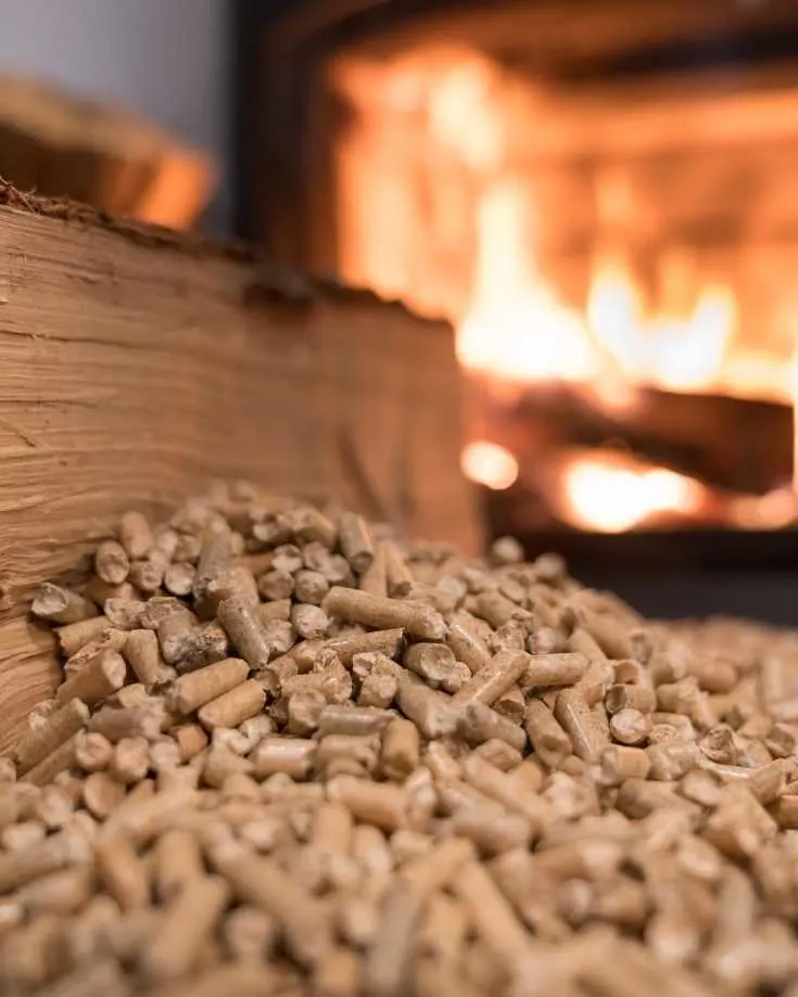 Fuel for RV wood stove