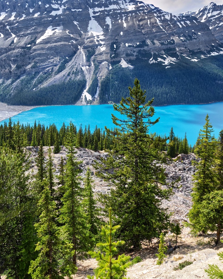 View from Silverhorn Creek of Peyto Lake | Camping in Banff National Park | two jack lakeside