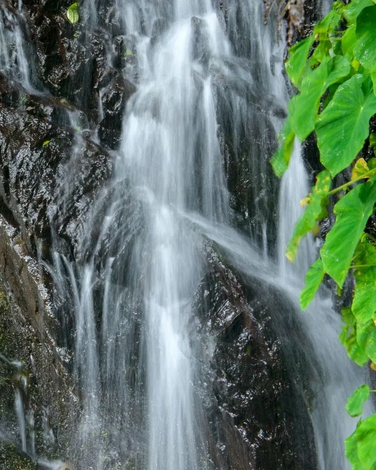 Waterfall Swallet