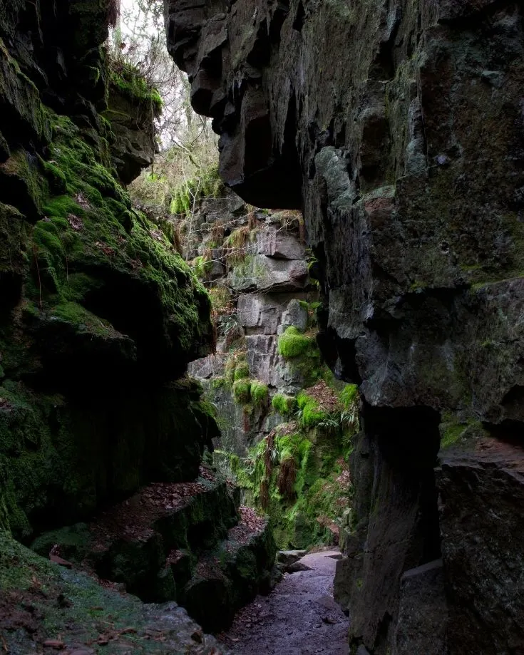 The deep narrow gorge at Lud's Church