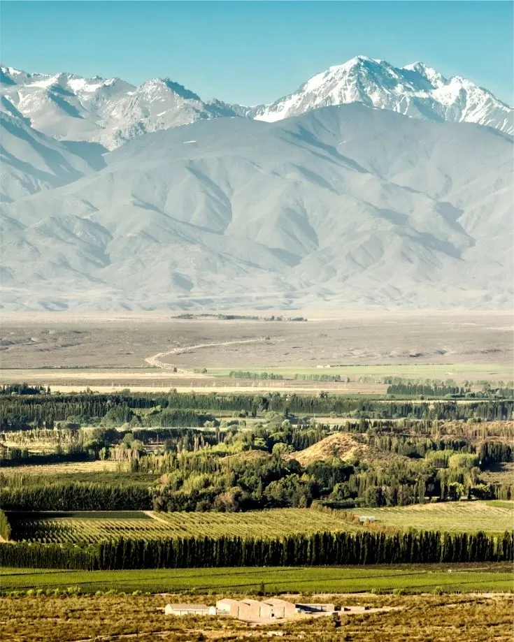 Views of the Andes Mountains behind vineyards of Uco Valley