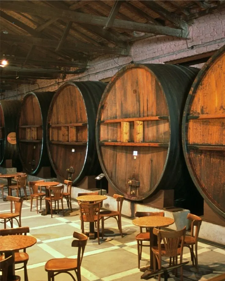 A barrel tasting room in Mendoza wineries