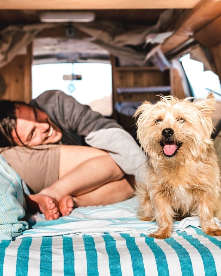 travelling in an RV with pets means considering the space they need as well as the people onboard