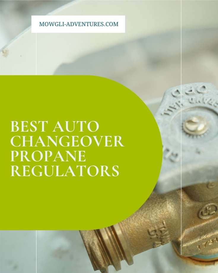 Best Auto Changeover Propane Regulators for RVs