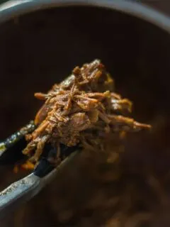 Instant Pot Camping Recipes this one with delicious pulled pork