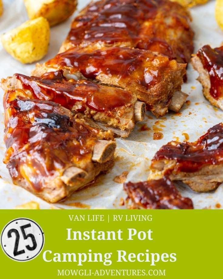 Instant Pot Camping Recipes Cover Image