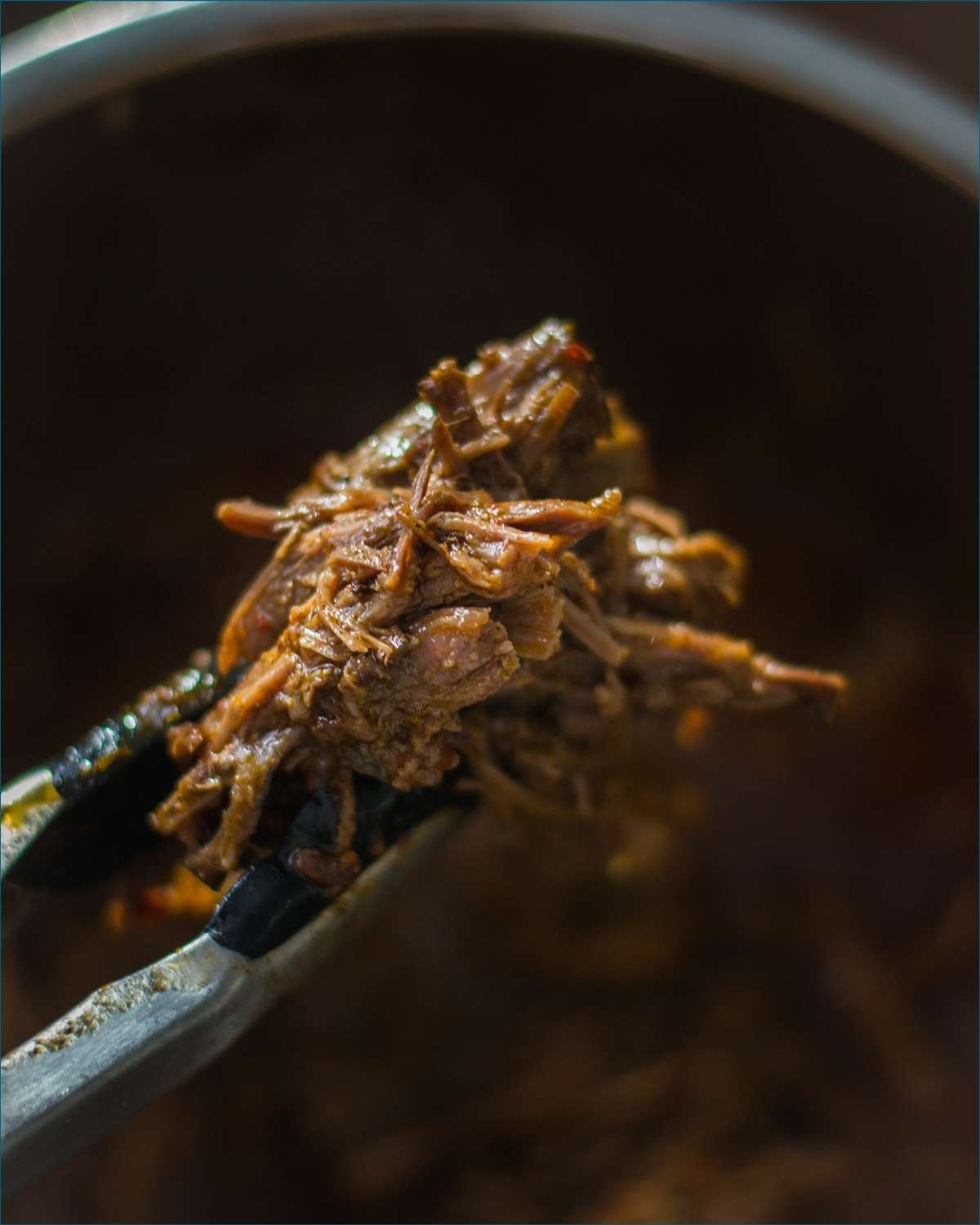Instant Pot Camping Recipes this one with delicious pulled pork