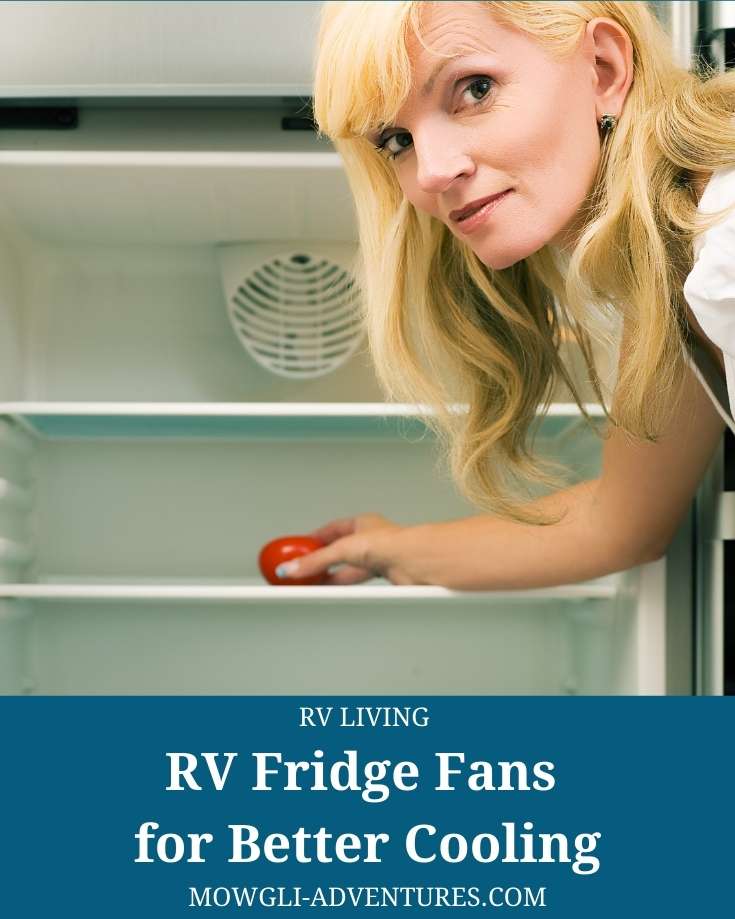 Rv Refrigerator Fan RV Fridge Fan Ultra High Voulm Air Flow Motor Durable Construction Easy On and Off Switch Double air outlets up and down adjustment Increase Airflow 
