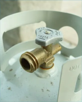 What Is An RV Propane Detector feature