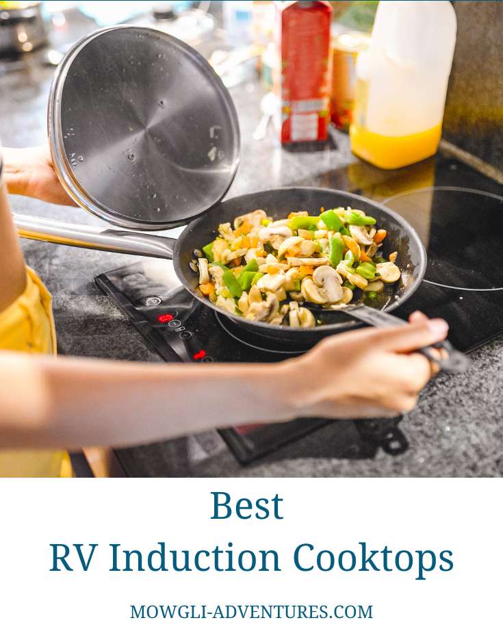 best rv induction cooktop cover
